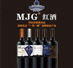 智利伊拉蘇·奧瓦耶集團