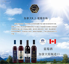 煙臺維佳工貿(mào)有限公司