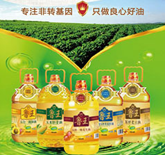 山東魯皇實(shí)業(yè)有限公司