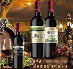 上海藍(lán)澳進(jìn)出口有限公司