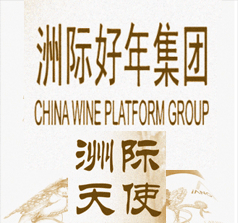 洲際天使電子商務(wù)