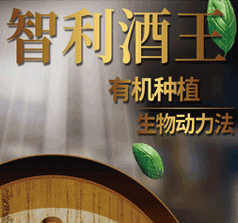 深圳市紅晟實業(yè)