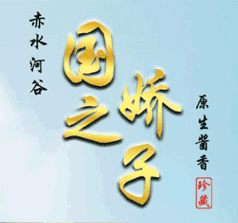 河南成功酒業(yè)