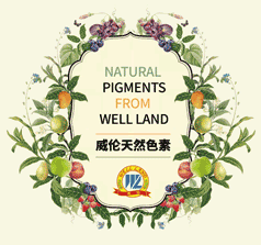 �V������ʳƷ